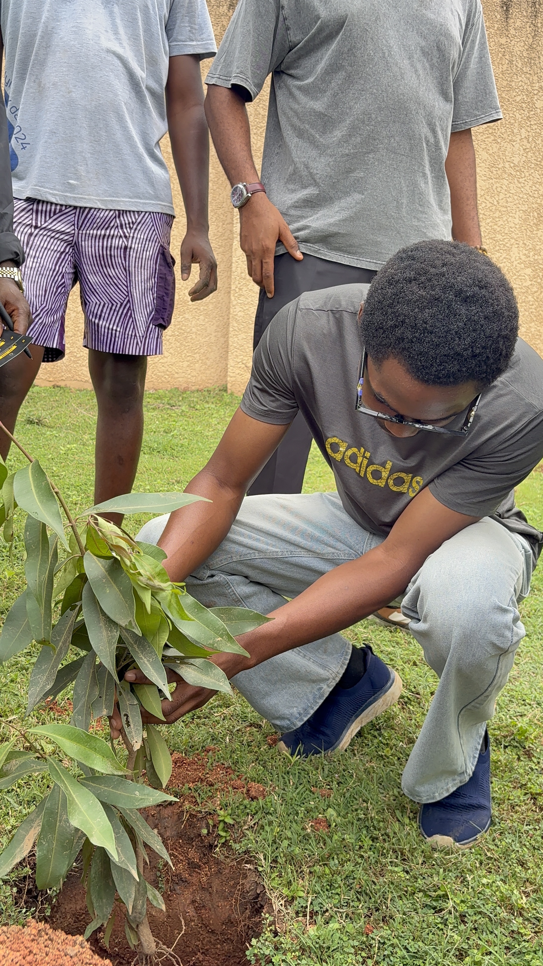 TheArkitecktsHub volunteer caring for a tree during the planting event
