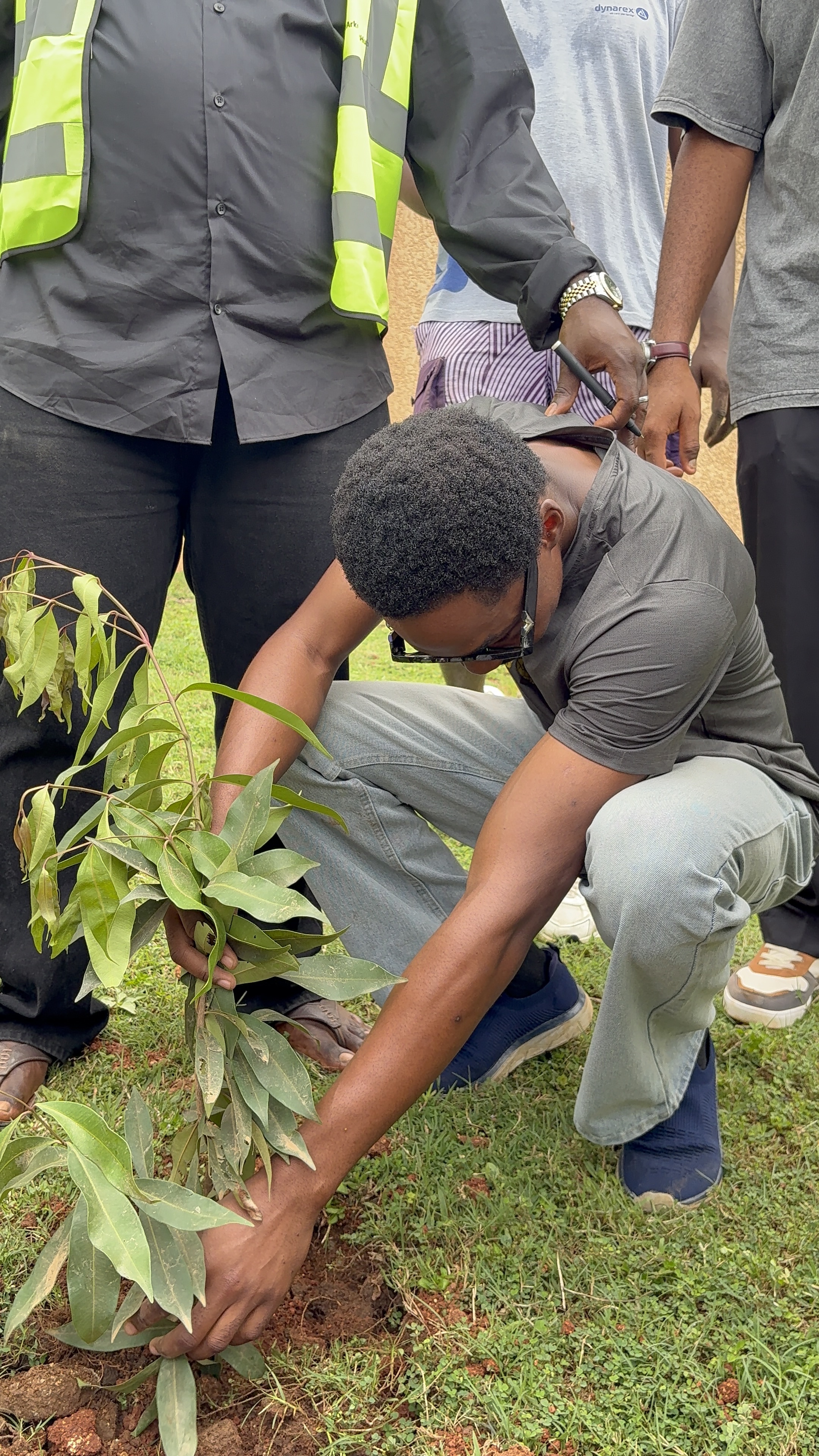 TheArkitecktsHub volunteer caring for a tree during the planting event