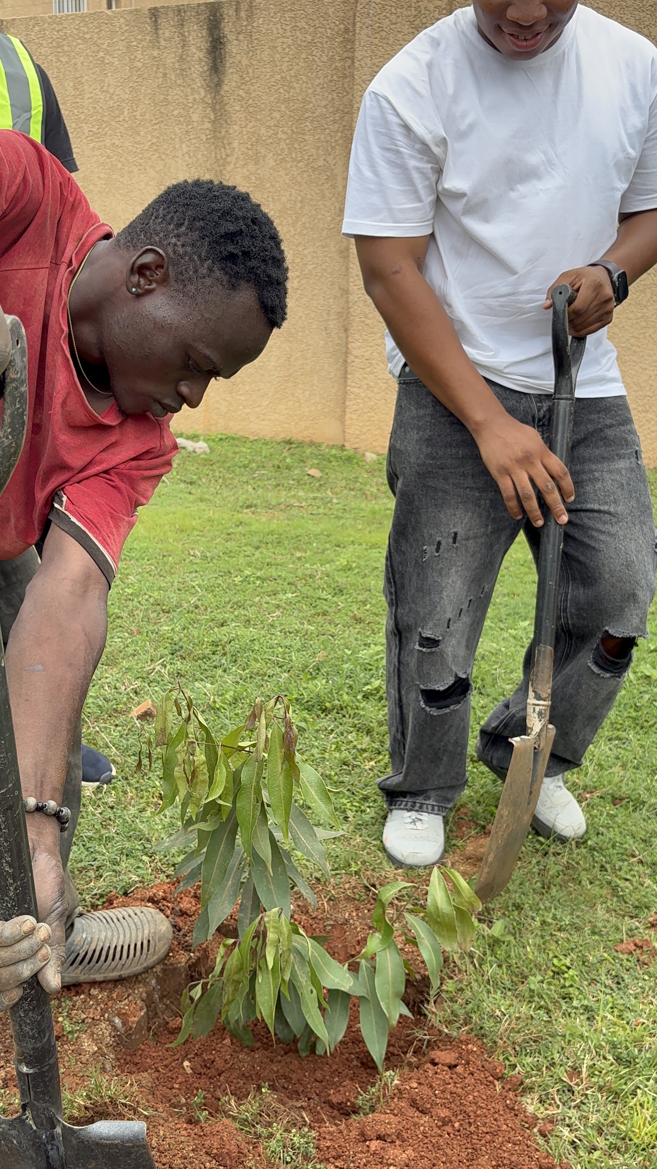 TheArkitecktsHub volunteer caring for a tree during the planting event