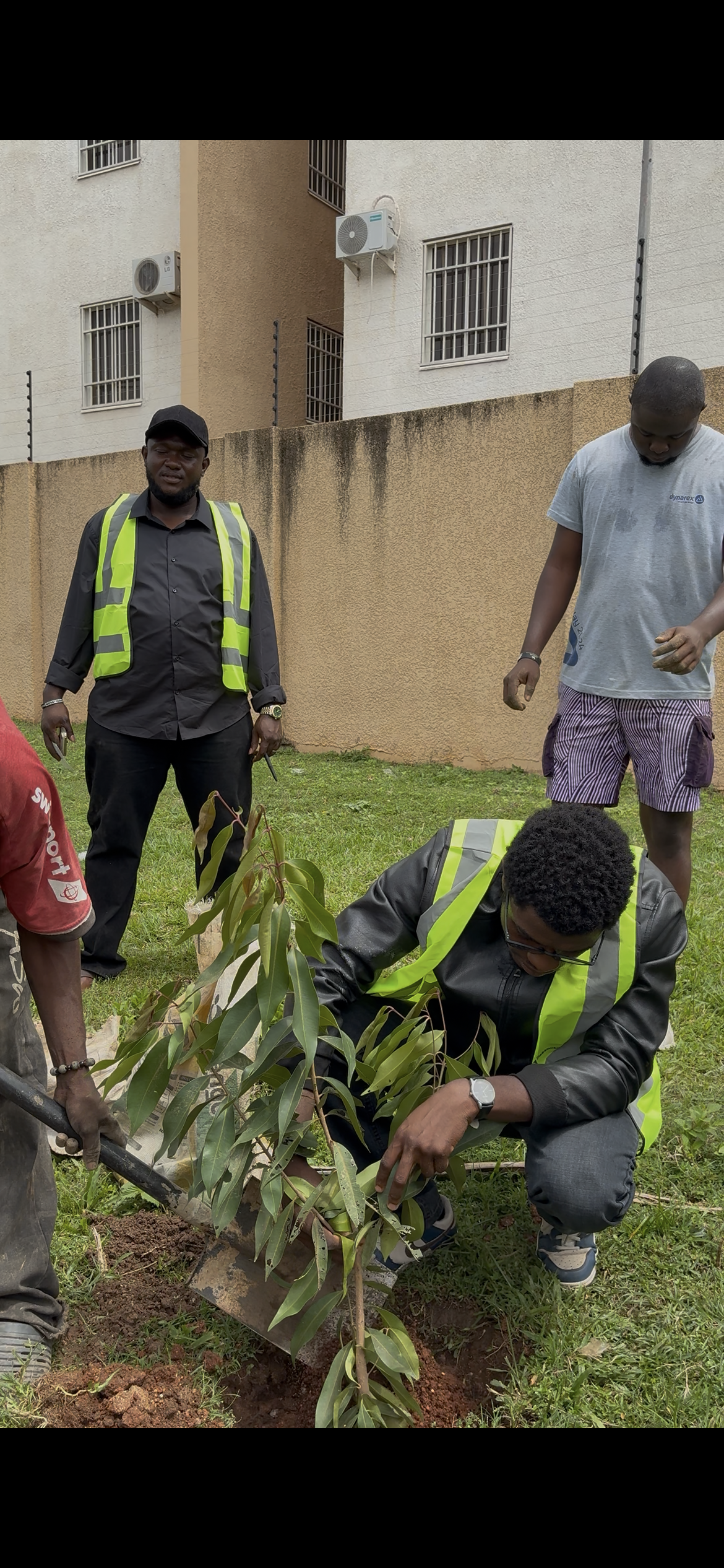 TheArkitecktsHub volunteer caring for a tree during the planting event